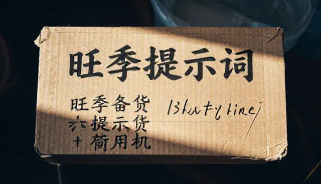如何避免AI提示词交易抖音拍摄脚本的误区？
